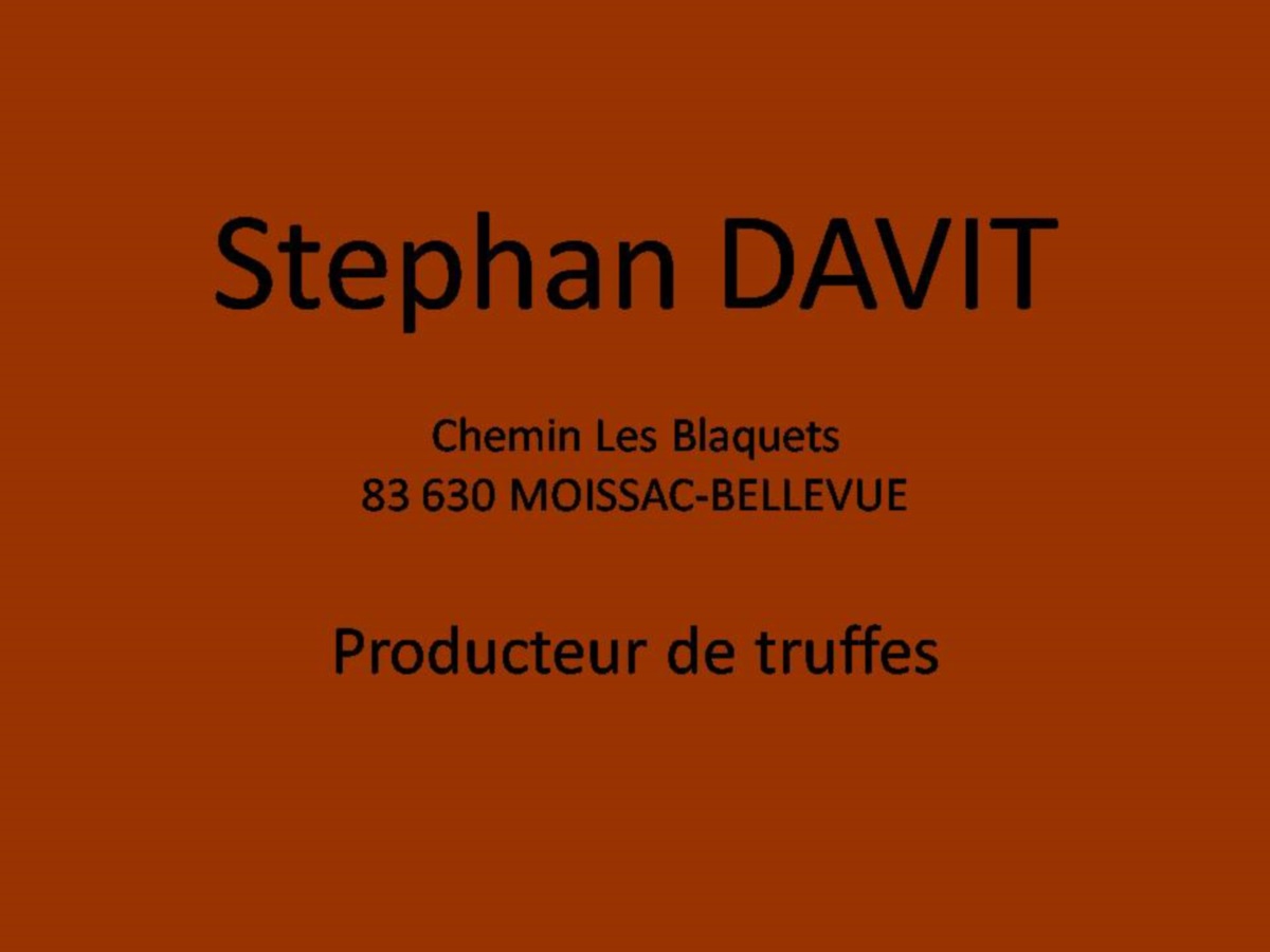 Photo Stephan DAVIT