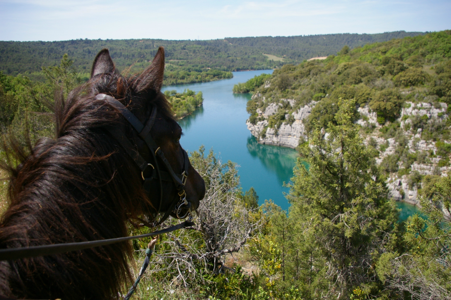 Photo Horse riding in the Verdon