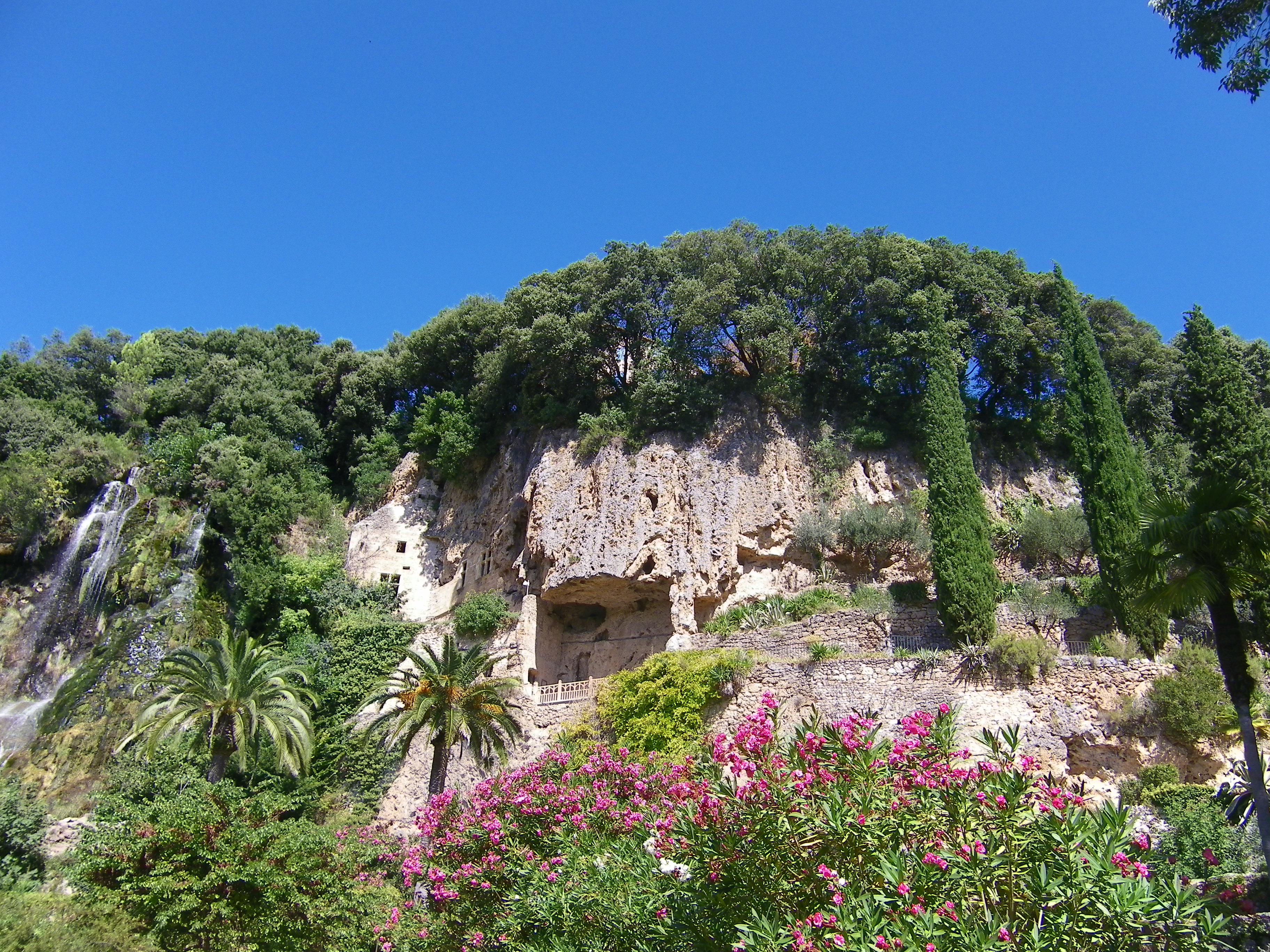 Photo Caves's garden