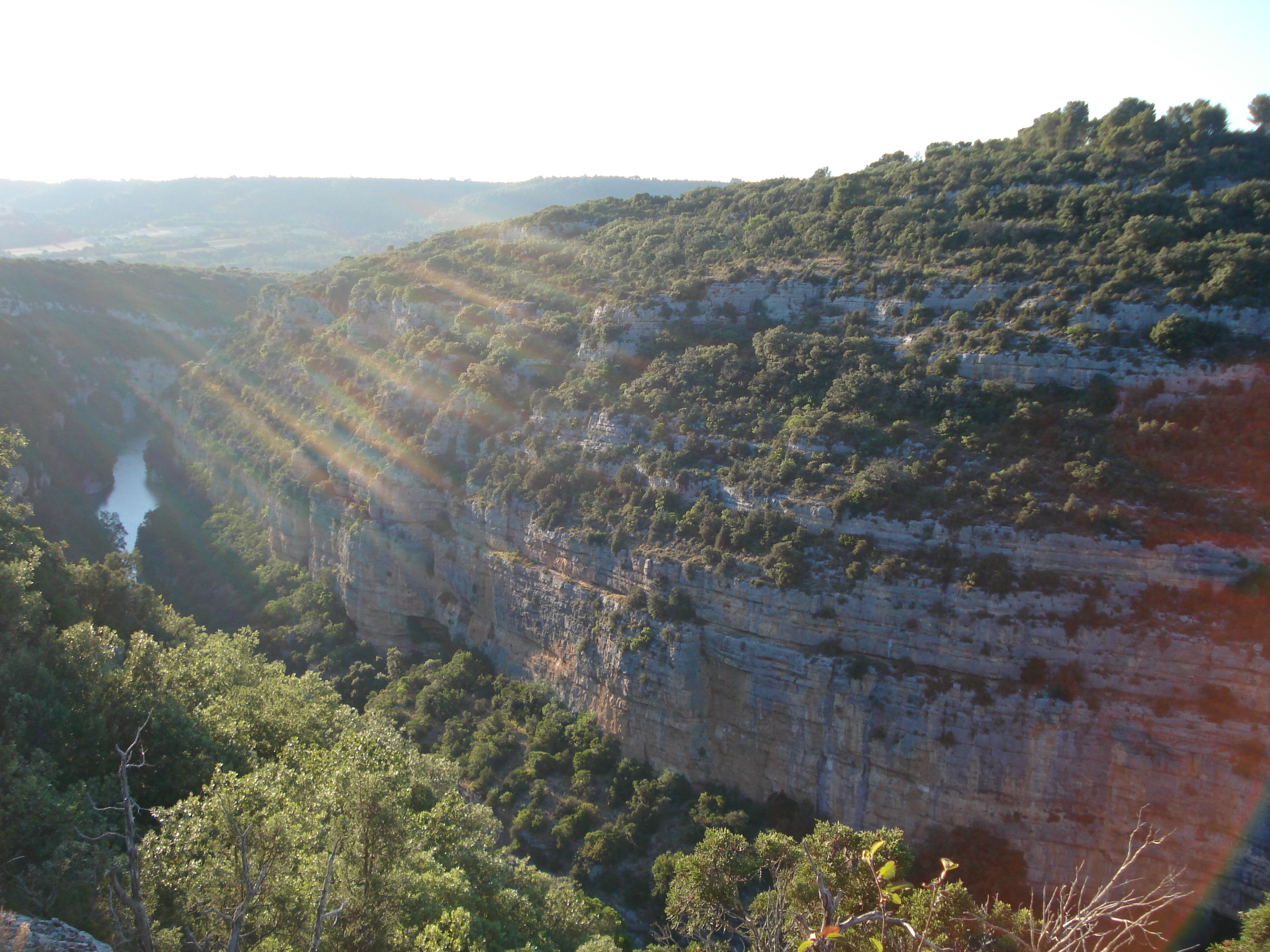 Photo Guided walk on the path of the Baudinard Gorges and Botanical Trail.