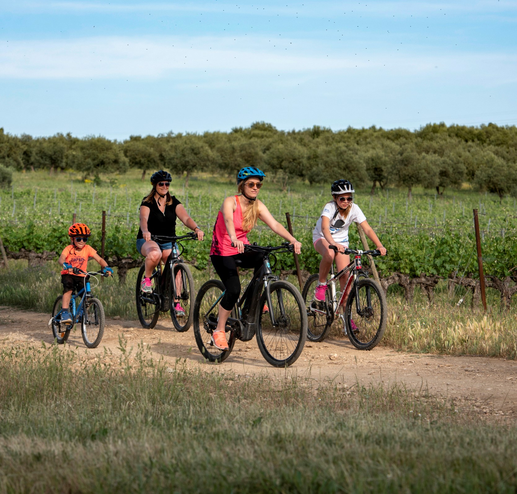 Photo FCF MTB site - Provence Verdon - Track 39 - Green - Régusse