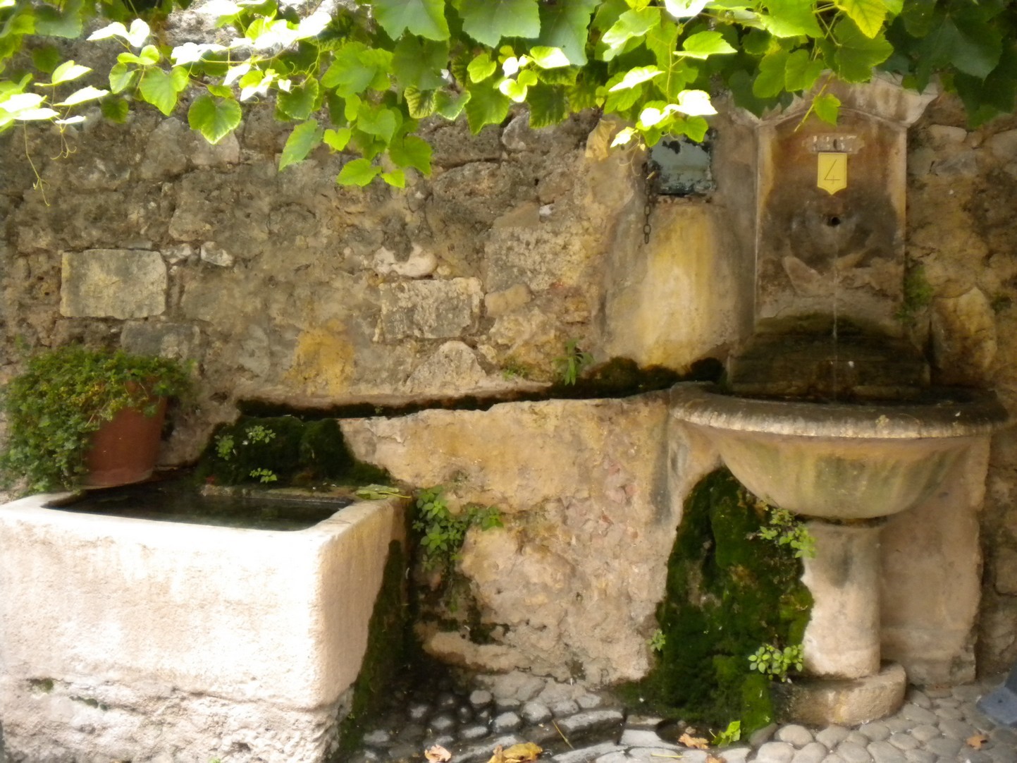 Photo Fontaine du Château