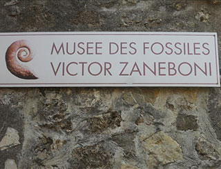 Tourtours Fossils Museum