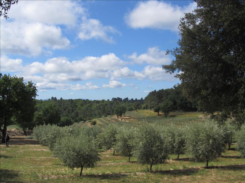 Photo Château de Taurenne