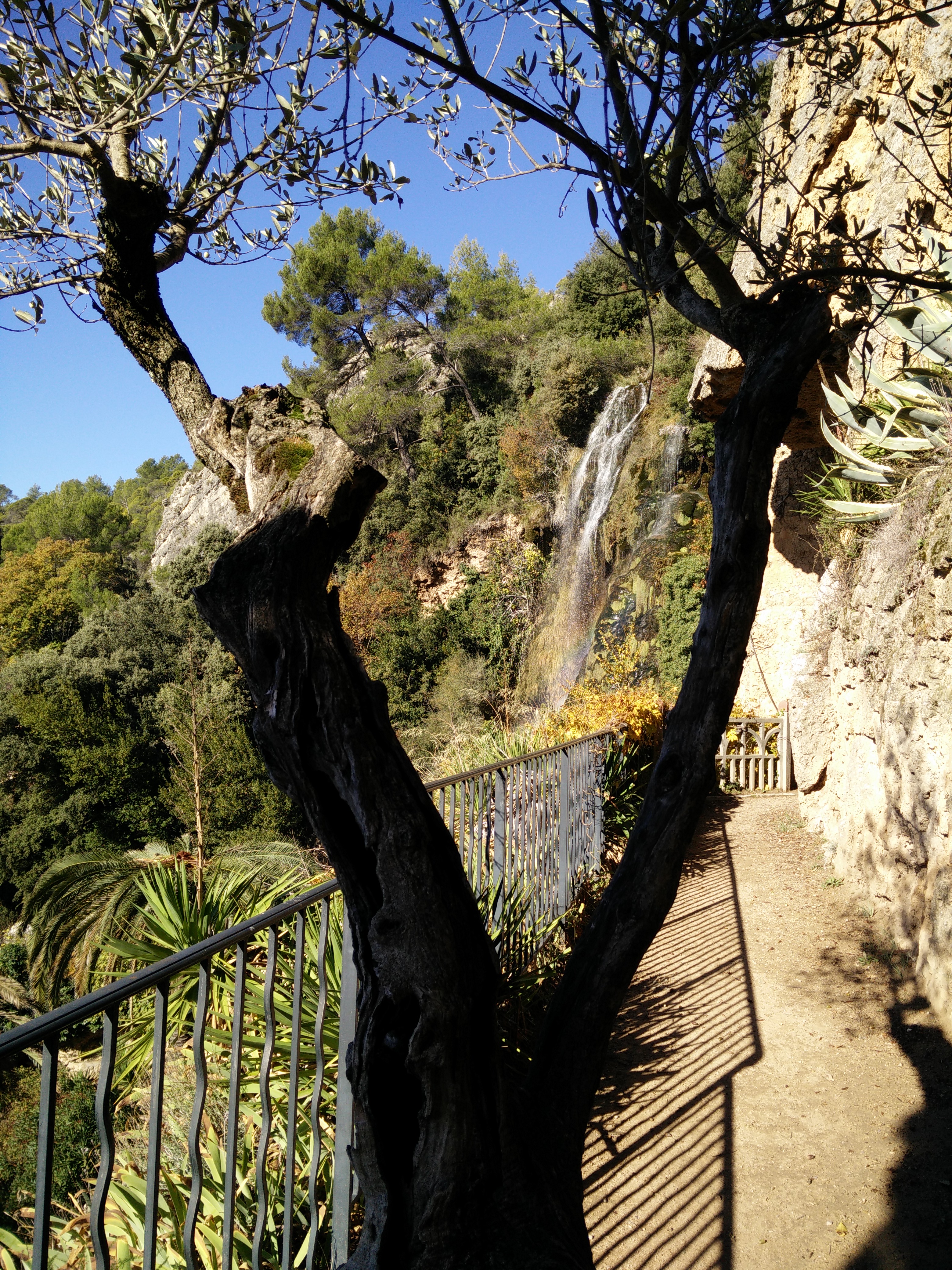 le cours d'eau - Parc de Villecroze