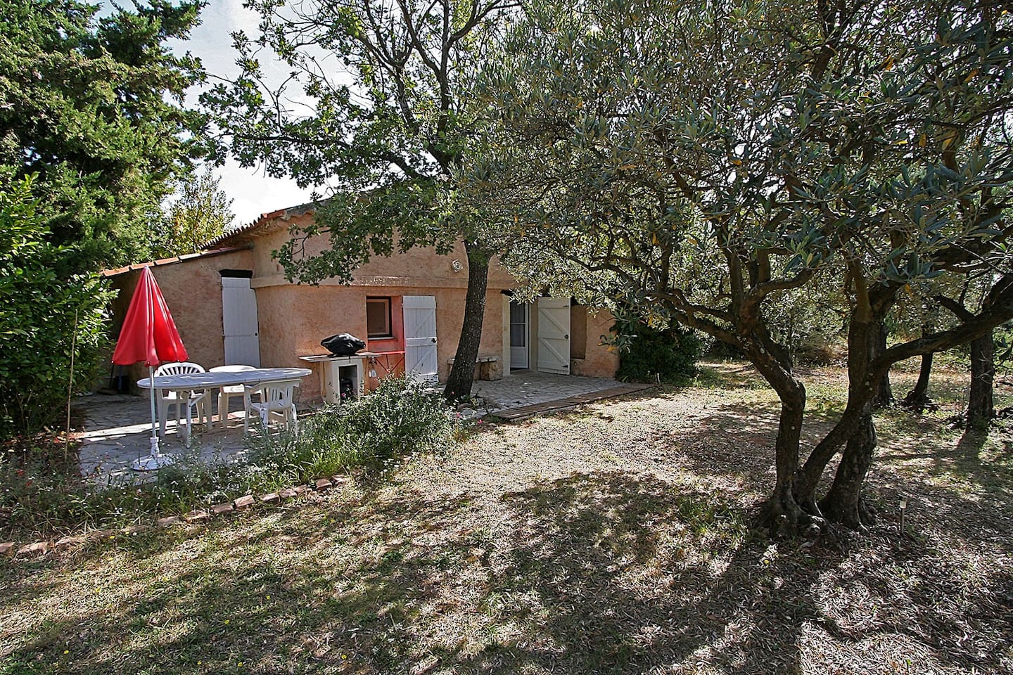 Photo Little house in the heart of the olive trees