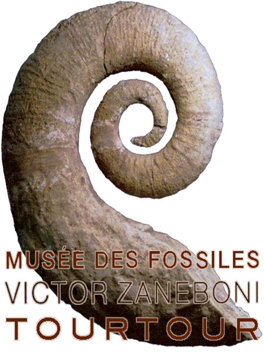 Photo Fossil Museum Victor Zaneboni