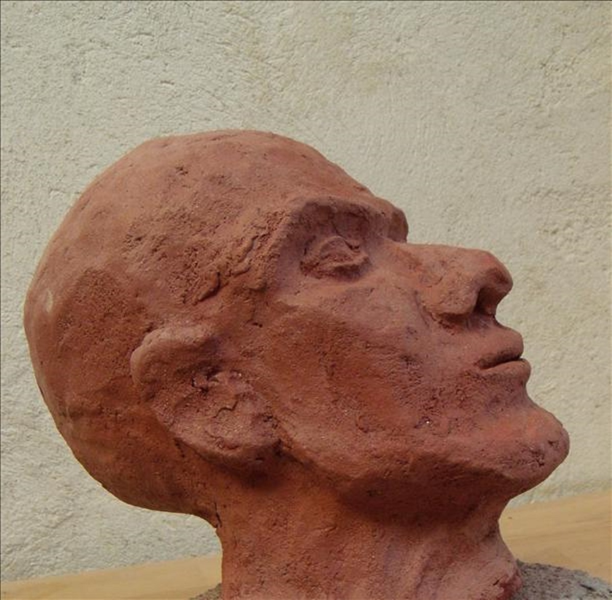 Photo Sculpture and modeling courses, plural courses