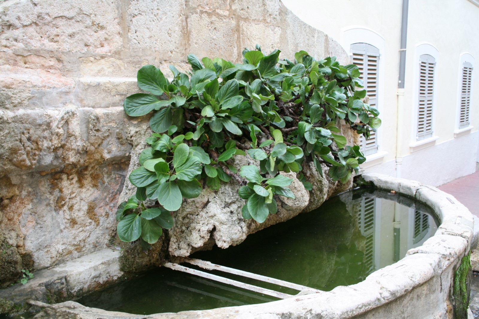 Photo Marechal Foch street fountain