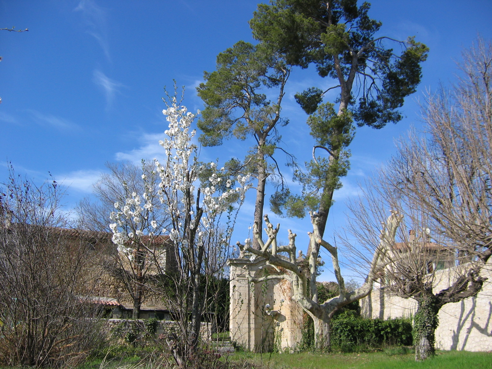 Photo Large garden