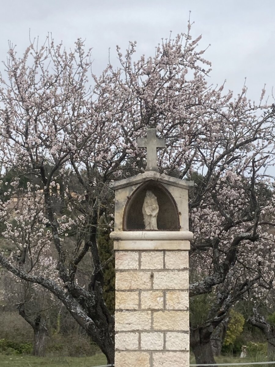 Photo Saint Anne’s Oratory