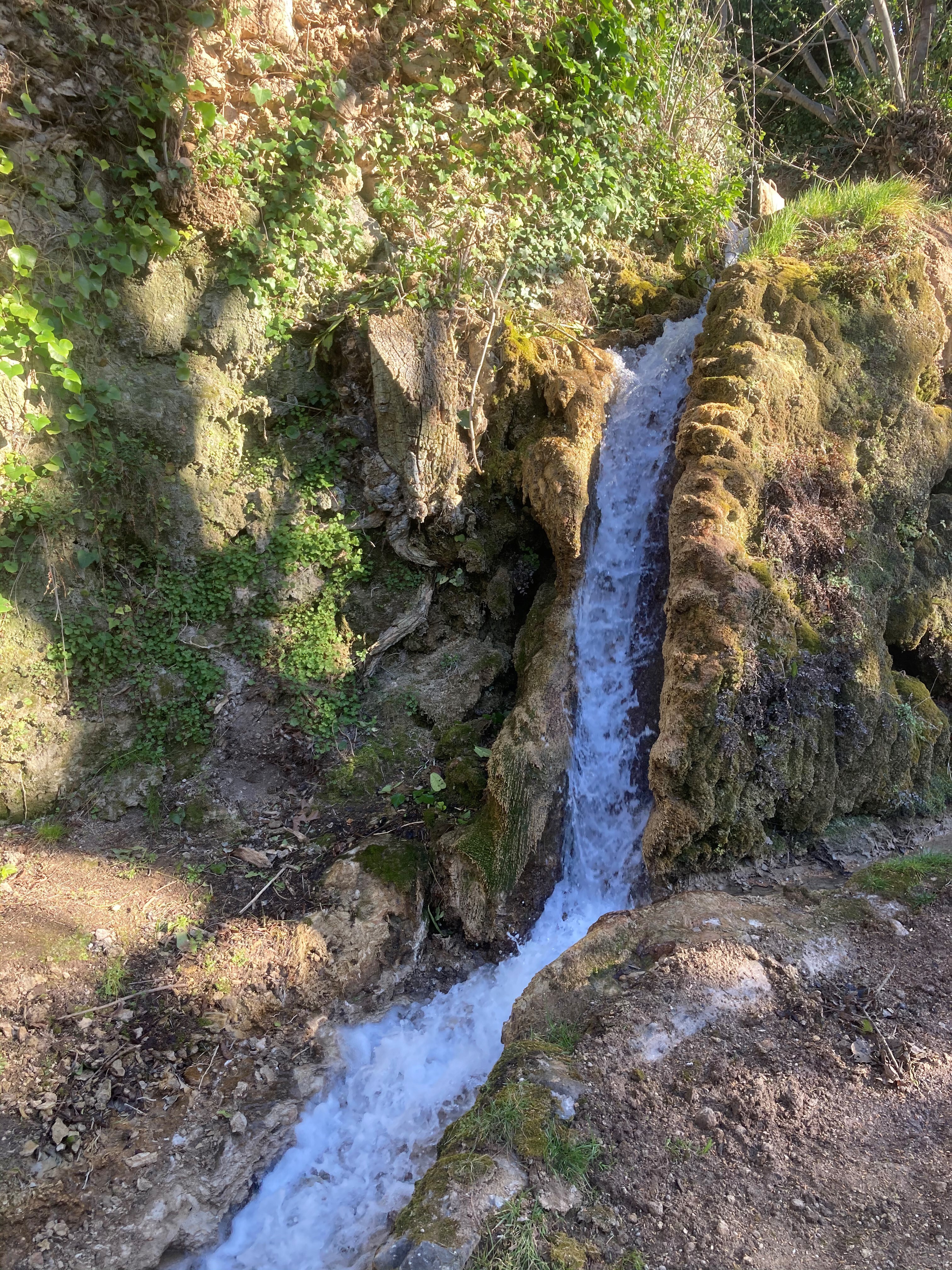 Photo Mossy fountain