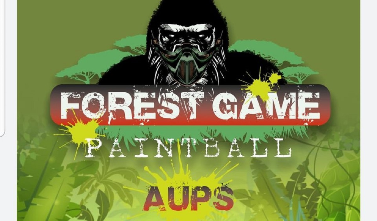 Photo Forest Game Paintball