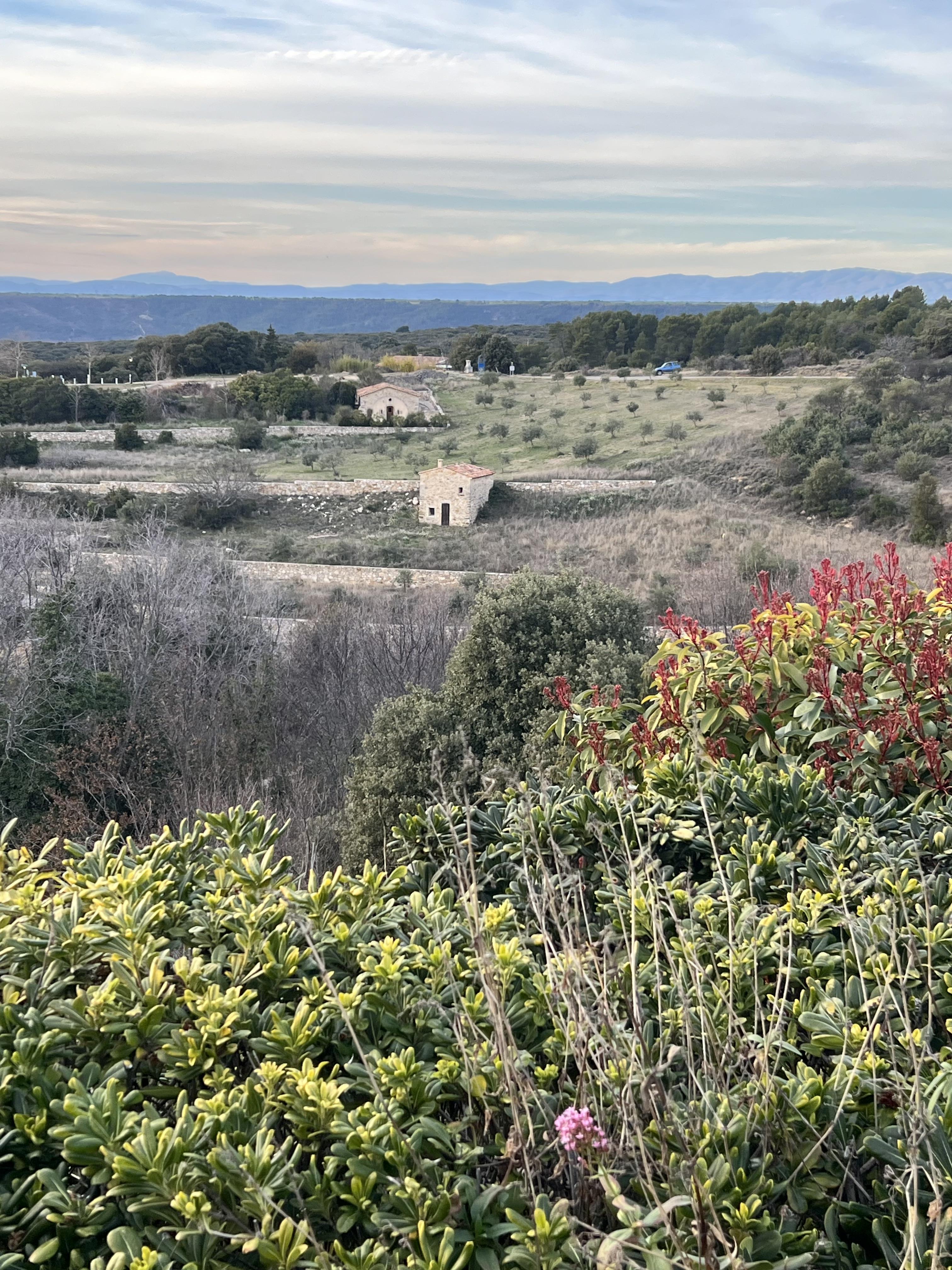 Photo Remarkable view on the olive grove of Baudinard-sur-Verdon