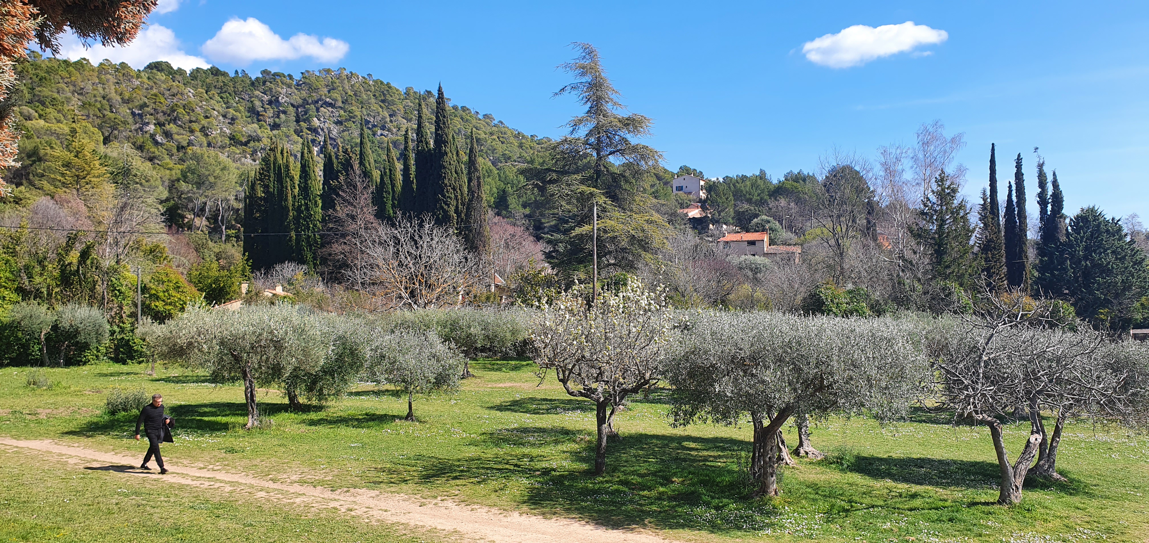 Photo Oliveraie du Pré de Fine